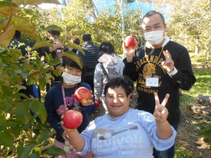 みんなで楽しくリンゴ狩り！