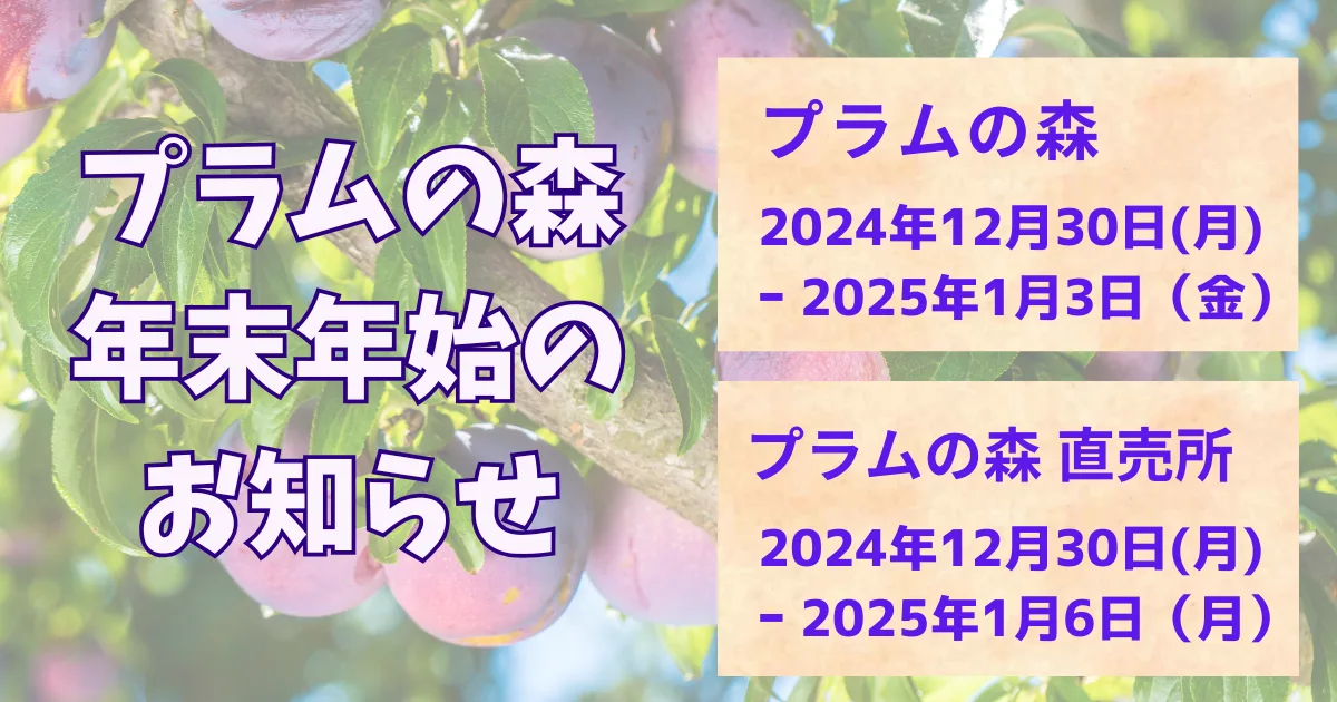 年末年始 プラムの森